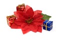 Fake poinsettia with gift boxes Royalty Free Stock Photo