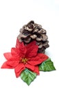 Fake poinsettia with old pine cone Royalty Free Stock Photo