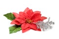 Fake poinsettia with silver branch Royalty Free Stock Photo