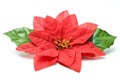 Fake poinsettia with two leaves top Royalty Free Stock Photo