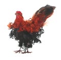 Fake red and black rooster