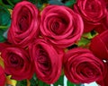 Fake red roses closeup Royalty Free Stock Photo