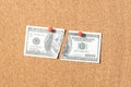 Fake Ripped dollar banknote pinned on cor board Royalty Free Stock Photo