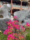 Fake rocks and flower mirrors in a Chinese garden