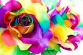 rainbow rose flower Royalty Free Stock Photo