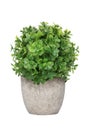 Fake round decorative bush in a pot