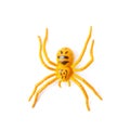 Fake rubber spider toy isolated