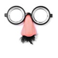 Fake short-sighted glasses, nose and moustache