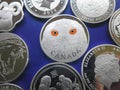 Fake silver coins