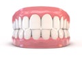 Fake Teeth Set Royalty Free Stock Photo