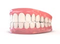 Fake Teeth Set Royalty Free Stock Photo