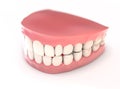 Fake Teeth Set Royalty Free Stock Photo