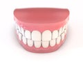 Fake Teeth Set Royalty Free Stock Photo