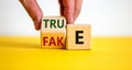 Fake or true symbol. Businessman flips a wooden cube and changes the word `fake` to `true` or vice versa. Beautiful yellow tab Royalty Free Stock Photo