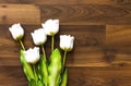 Fake tulips and wood chips. Royalty Free Stock Photo