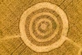 Fake UFO circles on grain crop yellow field, aerial view from drone. Round geometry shape symbols as alien signs Royalty Free Stock Photo