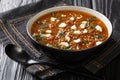 Fakes a traditional Greek vegetarian soup made from brown lentils with tomatoes, oil and feta close-up in a plate. horizontal