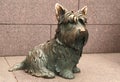 Fala the Dog Bronze Sculpture Royalty Free Stock Photo