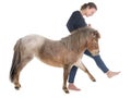 Falabella miniature horse and girl Royalty Free Stock Photo