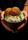 Falafel: A close-up shot showcasing the textured richness of falafel and its sesame coating.