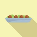 Falafel food icon flat vector. Cooking pita