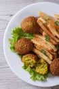 Falafel with French fries, lettuce top view vertical