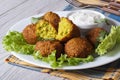 Falafel on lettuce with tzatziki sauce close-up horizontal