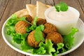 Falafel with pita and tzatziki