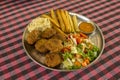 Falafel, potatoes, hummus, salad and sauce in a round metal plate on a blurred checkered red white black tablecloth close-up Royalty Free Stock Photo