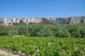 Falaise de la Madeleine,Provence,France