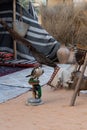 Falcon at Arab Bedouin camp