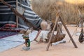 Falcon at Arab Bedouin camp