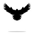 Falcon bird black silhouette animal