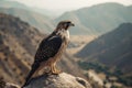 Falcon Bird Perched On A High Cliff. Generative AI