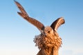 Falcon bird or bird of prey with wing beat and spreaded wings in Abu Dhabi, Arab Emirates Royalty Free Stock Photo