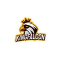 Falcon Eagle king. Royalty Free Stock Photo