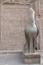 Falcon gardian of the Temple of Horus
