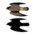 Falcon hawk vector illustration style Flat