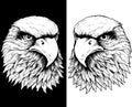 Falcon heads in black and white