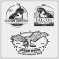 Falcon heraldry coat of arms. Labels, emblems and design elements for sport club. Print design for t-shirts. Royalty Free Stock Photo