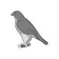 Falcon icon, black monochrome style Royalty Free Stock Photo