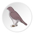 Falcon icon, cartoon style Royalty Free Stock Photo