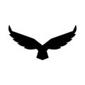 Falcon soaring rising Wings Logo design vector template.Luxury corporate heraldic flying Eagle Phoenix Hawk bird