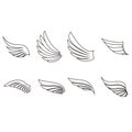 Falcon wing icon vector set. angel illustration sign collection. air symbols. bird logo. Royalty Free Stock Photo