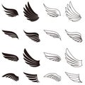 Falcon wing icon vector set. angel illustration sign collection. air symbols. bird logo. Royalty Free Stock Photo