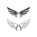 Falcon wing  Logo Template vector Royalty Free Stock Photo