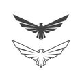 Falcon wing  Logo Template vector Royalty Free Stock Photo