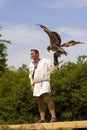 Falconer