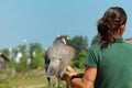 Falconer