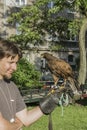 Falconer with falcon Royalty Free Stock Photo